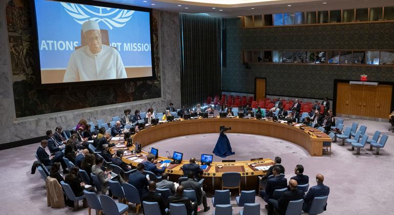 Libya Mission Chief Updates Security Council On Flood Disaster Beyond